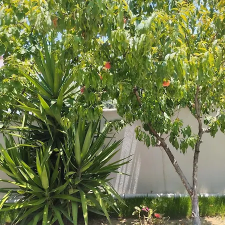 Esse Garden House - With The Garden Special For Kusadası