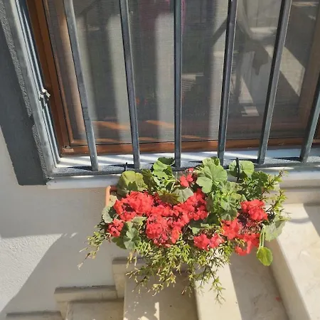 Esse Garden House - With The Garden Special For Casa vacanze *